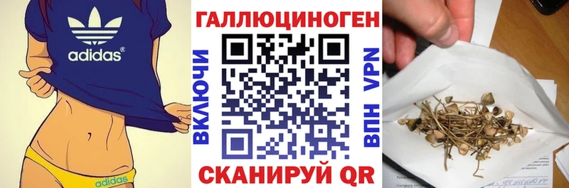 Псилоцибиновые грибы Cubensis Сосногорск