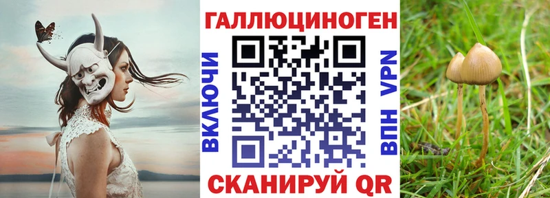Галлюциногенные грибы Psilocybe Сосногорск